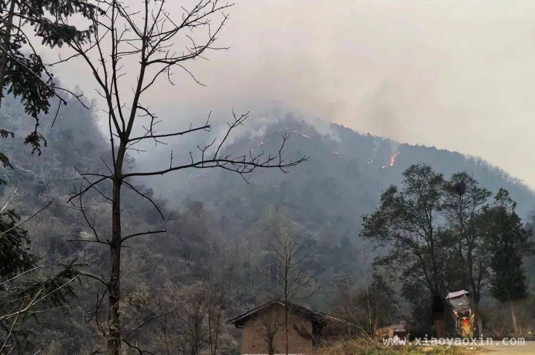 庐江县火情敲响清明防火警钟，清明防火小提示，守护绿水青山