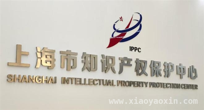上海专利预审服务：为创新主体缩短审查周期，提升竞争力，聚焦上海知识产权保护中心，专利预审推动企业创新升级