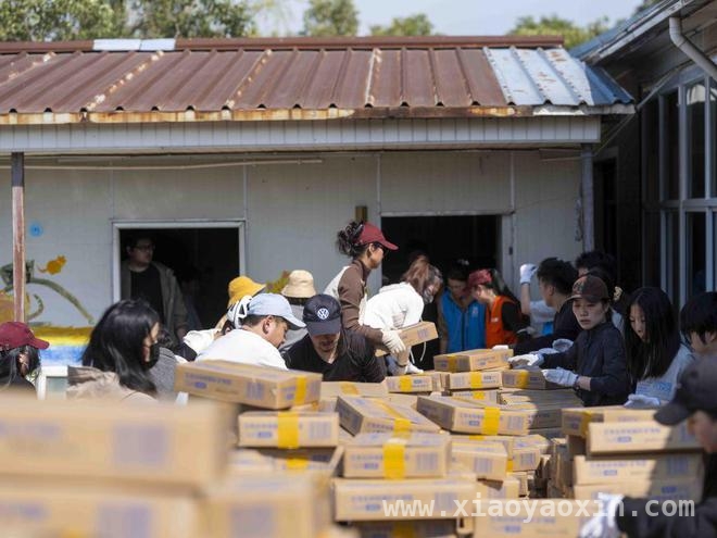 300只猫咪的新家！上海“猫岛”搬迁背后的故事