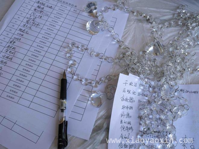 300只猫咪的新家！上海“猫岛”搬迁背后的故事