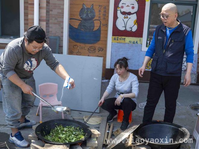 300只猫咪的新家！上海“猫岛”搬迁背后的故事