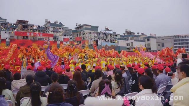 曲靖以花为媒，开启农文旅深度融合之旅，云南曲靖：花海绽放，农文旅融合新画卷