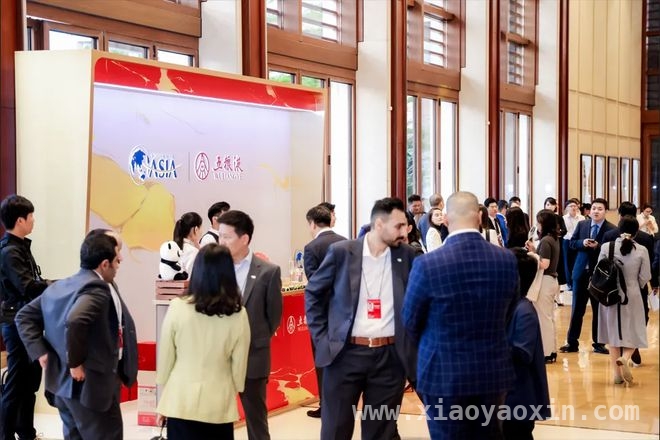 五粮液“博鳌月”：品牌与市场的双赢之路，五粮液博鳌之约：开启高质量增长新征程
