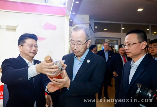 五粮液“博鳌月”：品牌与市场的双赢之路，五粮液博鳌之约：开启高质量增长新征程