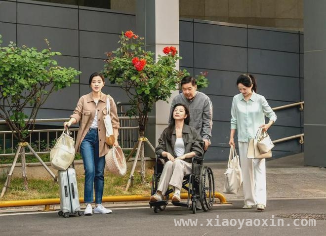惊爆！我的后半生老年婚恋剧情大反转 70岁教授黄昏恋受挫，我的后半生揭露婚姻现实