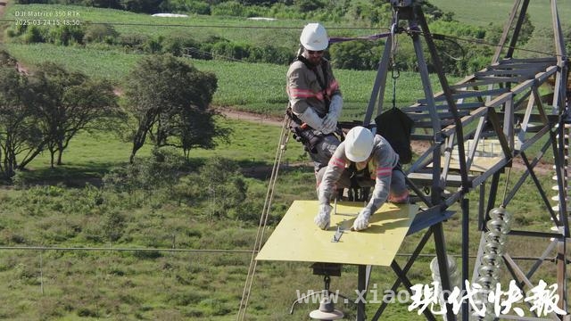 中国电力涉鸟防护经验首在巴西落地，跨国合作开启新篇章 江苏电力技术走出国门，助力巴西电网防鸟患