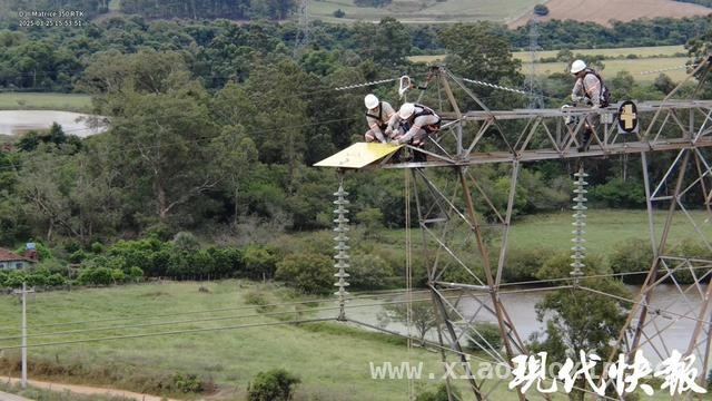 中国电力涉鸟防护经验首在巴西落地，跨国合作开启新篇章 江苏电力技术走出国门，助力巴西电网防鸟患