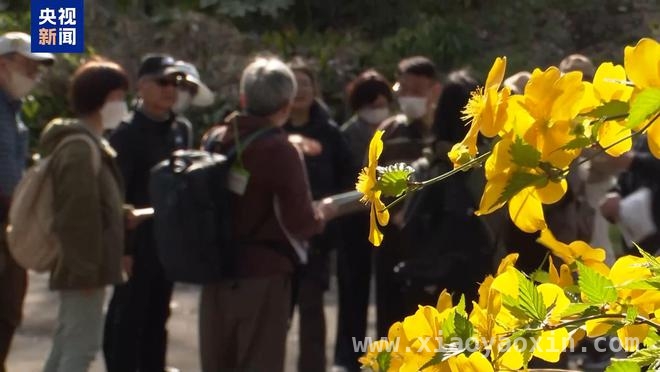 揭开东京人骨背后的战争罪恶，日本政府应直面历史，日本民间呼吁彻查人骨真相，政府态度引质疑