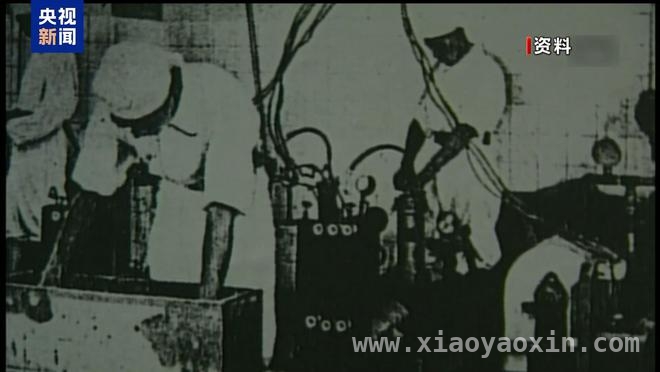 揭开东京人骨背后的战争罪恶，日本政府应直面历史，日本民间呼吁彻查人骨真相，政府态度引质疑
