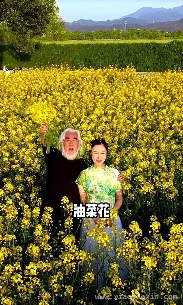 当72岁张纪中遇上小31岁孕妻，油菜花田浪漫背后争议不断 惊爆！张纪中带小娇妻油菜花田拍大片跳华尔兹引热议