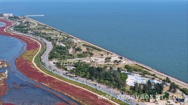 中新天津生态城：以创新之姿开启文旅体育新时代，中新天津生态城：从荒芜之地到文旅体育活力新城