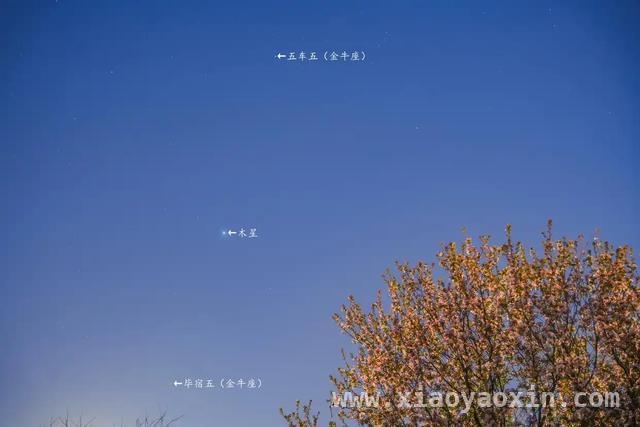 4月3日，我国南方将现月掩金牛座β星奇景！，4月3日南方夜空：月掩五车五的浪漫之约