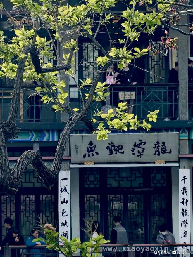 沉醉在济南五龙潭公园的一步一景里，解锁济南五龙潭公园的一步一景之妙