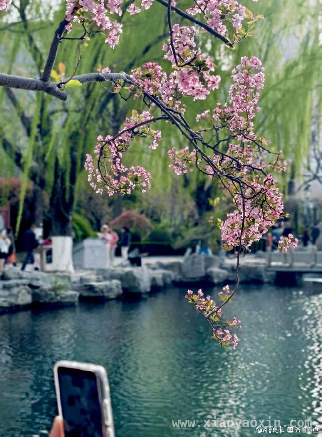 沉醉在济南五龙潭公园的一步一景里，解锁济南五龙潭公园的一步一景之妙