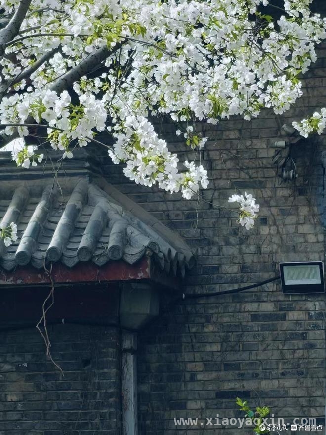 沉醉在济南五龙潭公园的一步一景里，解锁济南五龙潭公园的一步一景之妙