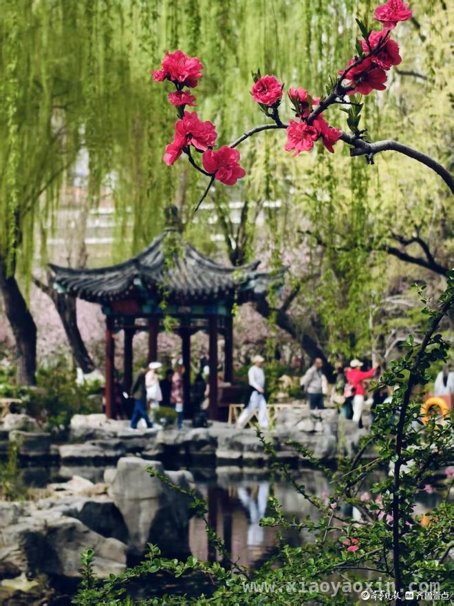 沉醉在济南五龙潭公园的一步一景里，解锁济南五龙潭公园的一步一景之妙