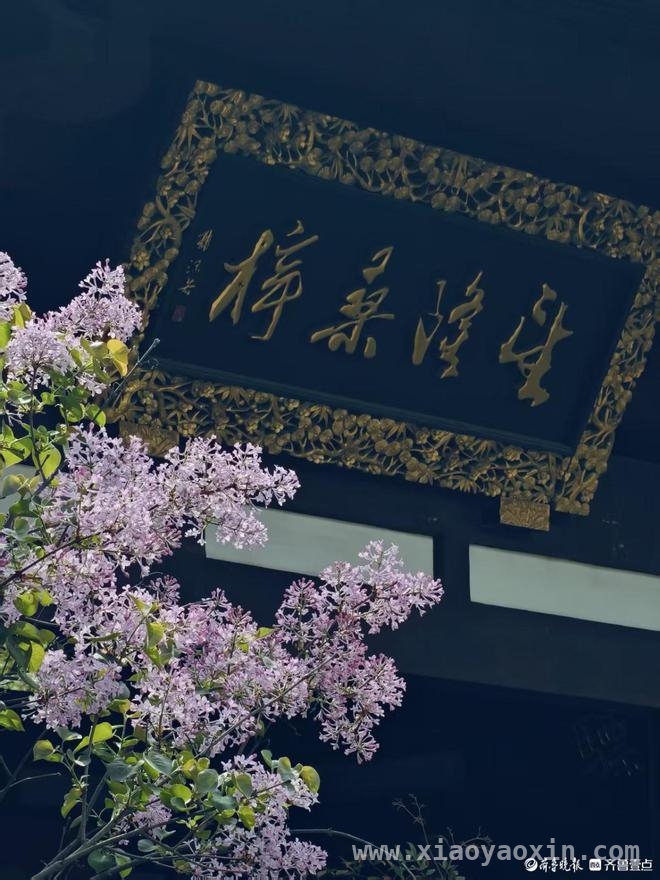 沉醉在济南五龙潭公园的一步一景里，解锁济南五龙潭公园的一步一景之妙
