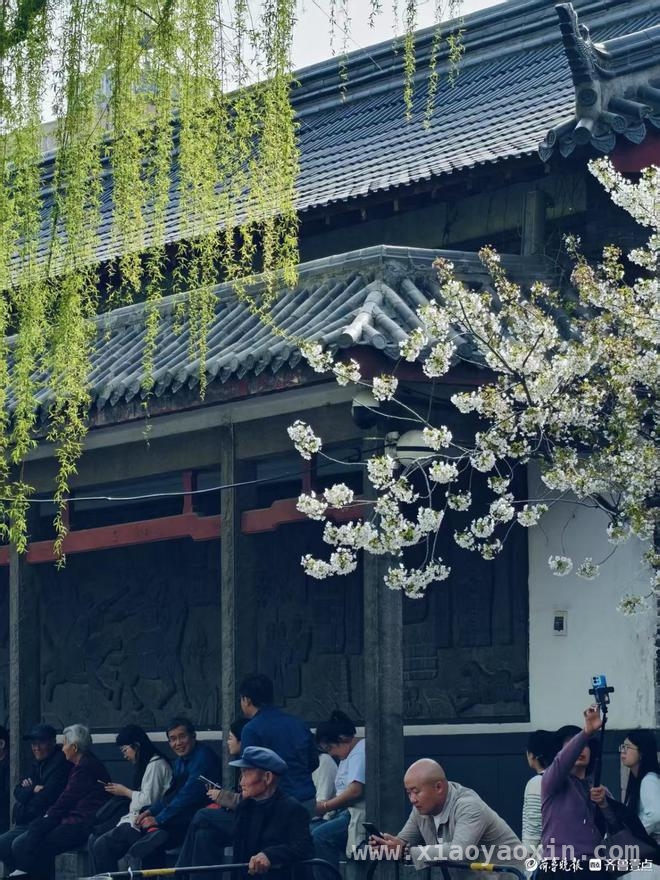沉醉在济南五龙潭公园的一步一景里，解锁济南五龙潭公园的一步一景之妙