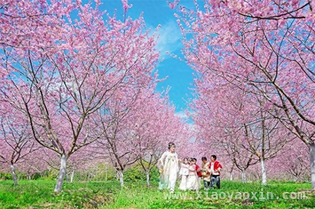 乡村旅游正当时，各地风景大赏，春日乡村游，邂逅诗画之境