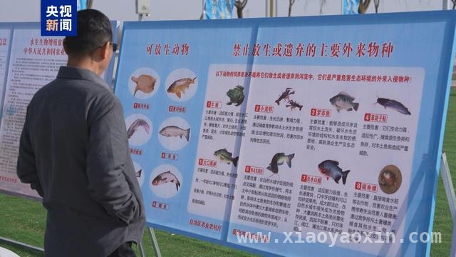 黄河全域休禁渔期开启，“亮剑2025”专项执法行动启动