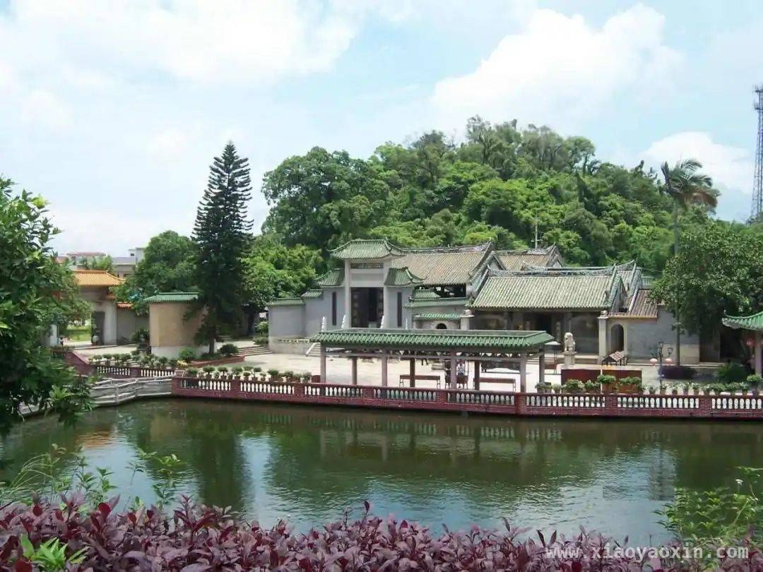 2025江门自行车骑行嘉年华，竞赛与美景的完美邂逅