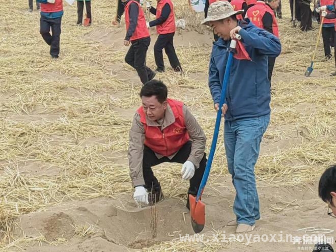 朱军获“防沙治沙公益大使”称号，民勤防沙再添新力量，朱军现身民勤，为防沙治沙添绿助力
