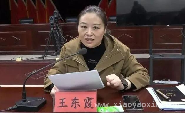 河南省纪委揭6起典型问题，王东霞“形象工程”上榜
