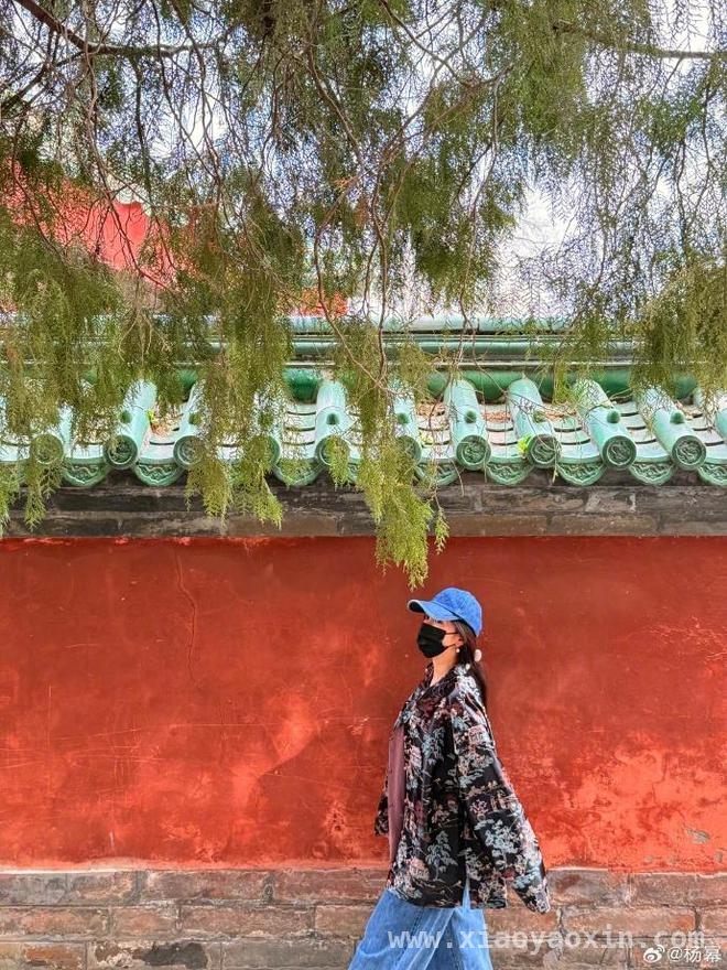 1. 杨幂粉丝团19周年，女神卡点晒美照太甜啦！，4. 杨幂陪伴粉丝19年，卡点晒照双向奔赴太好嗑！