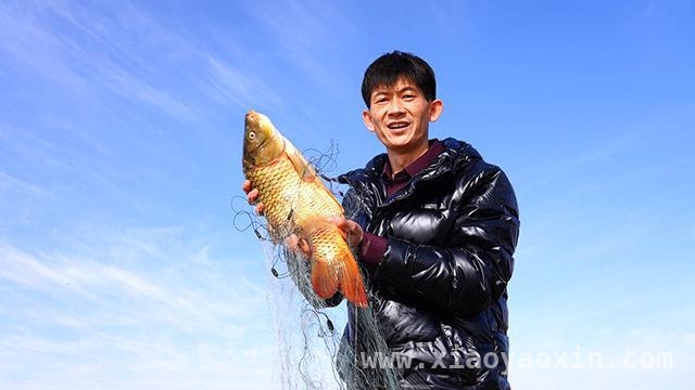 探寻乌海海勃湾开河鱼，领略北疆文化魅力 品味乌海海勃湾开河鱼，邂逅北疆文化之美