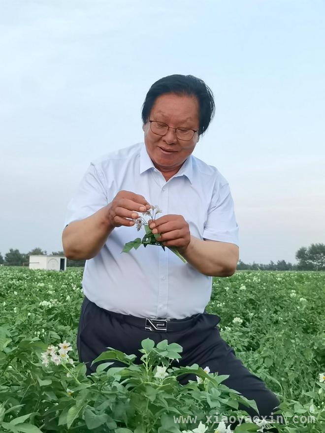 告别梁希森：24年坚守，让马铃薯主粮化梦想照进现实，梁希森离世：一生逐梦马铃薯，打破“洋种子”垄断