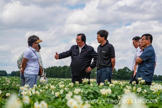 告别梁希森：24年坚守，让马铃薯主粮化梦想照进现实，梁希森离世：一生逐梦马铃薯，打破“洋种子”垄断
