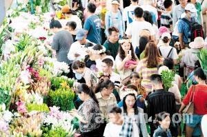 云南“春花茶咖”文旅盛宴，邀您感受别样生活，探寻云南春日密码：花的芬芳，茶咖的醇香