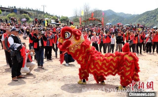 4月1日，广西侗乡花炮节劲展民族风采 湘桂花炮队齐聚，广西侗乡花炮节燃爆民族风情