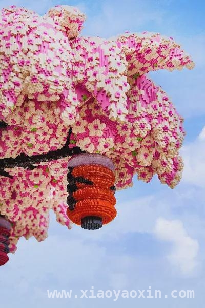 今夏必去！上海乐高乐园解锁奇幻之旅