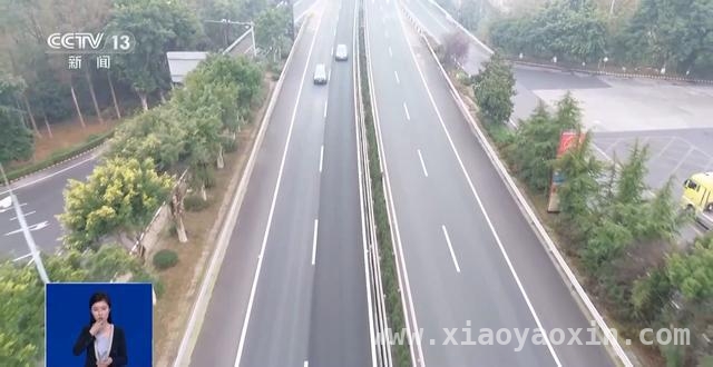 清明高速停车挖野菜，安全与“尝鲜”该如何抉择？，从高速停车采野菜到列车醉酒闹事，出行文明刻不容缓