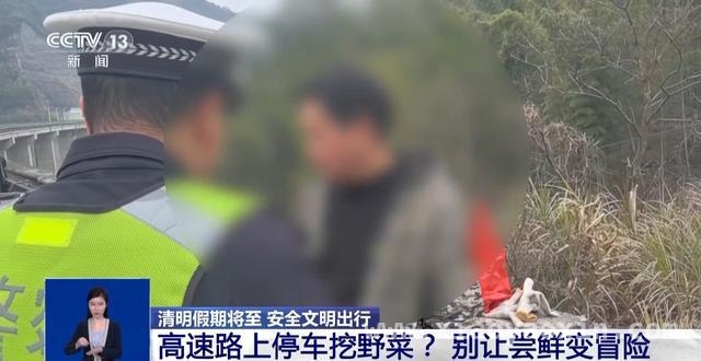 清明高速停车挖野菜，安全与“尝鲜”该如何抉择？，从高速停车采野菜到列车醉酒闹事，出行文明刻不容缓