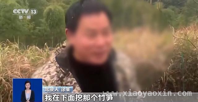 清明高速停车挖野菜，安全与“尝鲜”该如何抉择？，从高速停车采野菜到列车醉酒闹事，出行文明刻不容缓