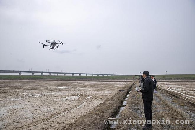 春耕新景象：江西共青城无人机助力早稻播种，共青城春耕：无人机让早稻播种又快又好