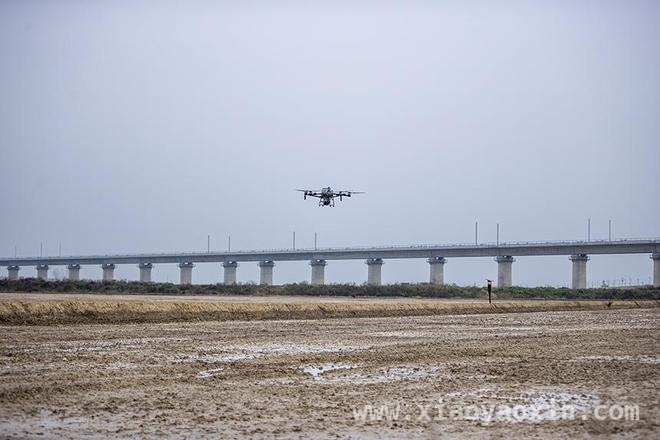 春耕新景象：江西共青城无人机助力早稻播种，共青城春耕：无人机让早稻播种又快又好