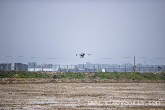 春耕新景象：江西共青城无人机助力早稻播种，共青城春耕：无人机让早稻播种又快又好