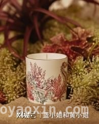 探寻DIOR MAISON铃兰与假日系列的诗意与梦幻