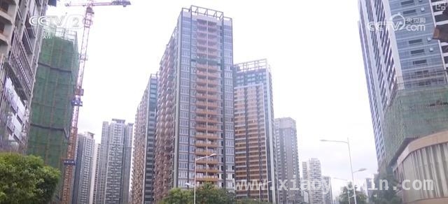 新政加持，深圳3月新房二手房迎来交易高峰！ 深圳房产市场3月升温，成交活跃态势凸显！
