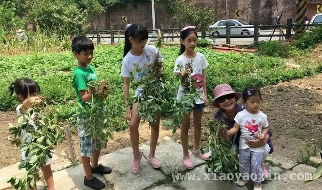 大S走后58天：具俊晔墓地相伴，徐家幸福旧影成永远遗憾，大S离世58天，幸福合影成追忆，徐家人何时走出阴霾？