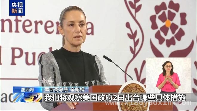 美国加征汽车关税：一场搅乱全球经济的风暴