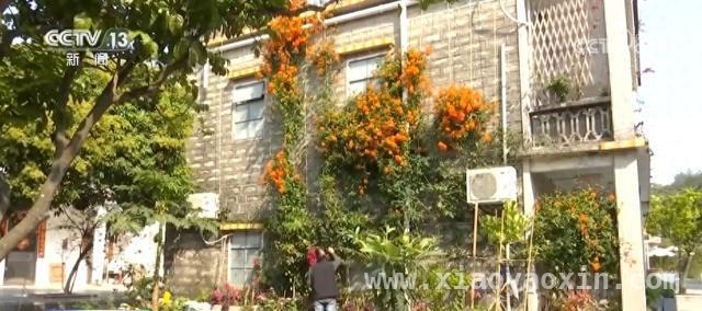 盐城清查集体资产，为乡村振兴注入新活力