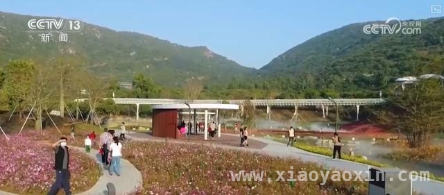 盐城清查集体资产，为乡村振兴注入新活力