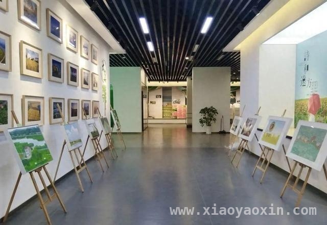 艺术之笔绘就永宁乡村振兴新画卷 南京书画院与永宁街道携手，共赴乡村艺术之约