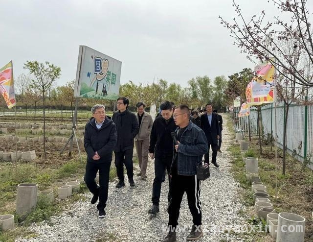 艺术之笔绘就永宁乡村振兴新画卷 南京书画院与永宁街道携手，共赴乡村艺术之约