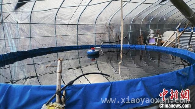 科技赋能，浙江淡水渔业开启智慧养殖新时代