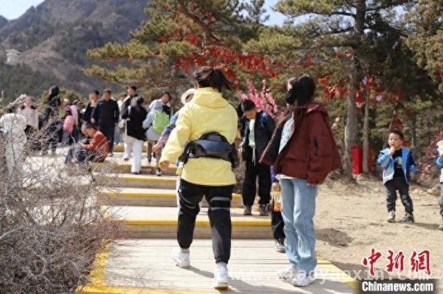 宁夏贺兰山景区引进神器，让登山不再难！，神器助力，贺兰山青松岭不再遥不可及！